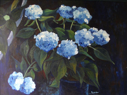Hortensia