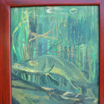 Animales thumbnail 1
