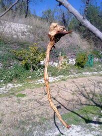 Fukushima...