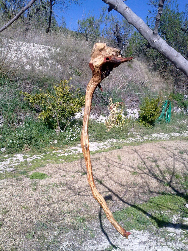 FUKUSHIMA A.T.N.C.LONG TAILED CREATURE 580/2011