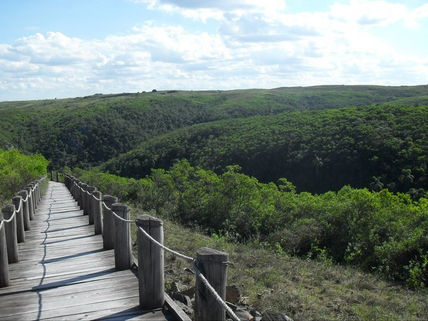 Sendero-Quebrada