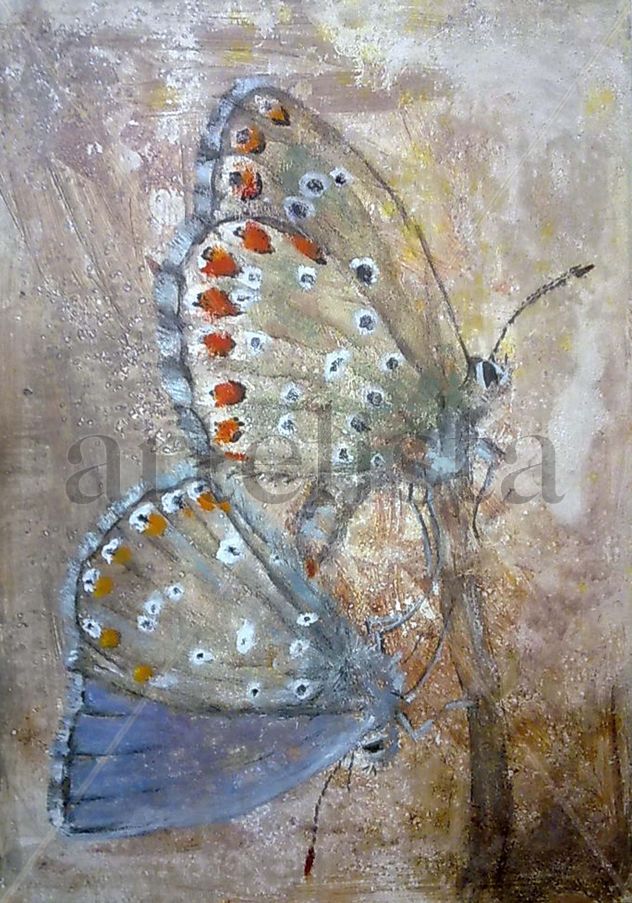Sex animals erotic and love, mariposas