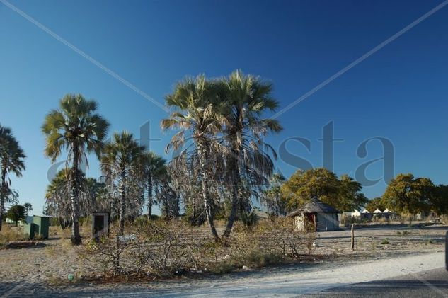 Pueblo de Boswana Travel Color (Digital)