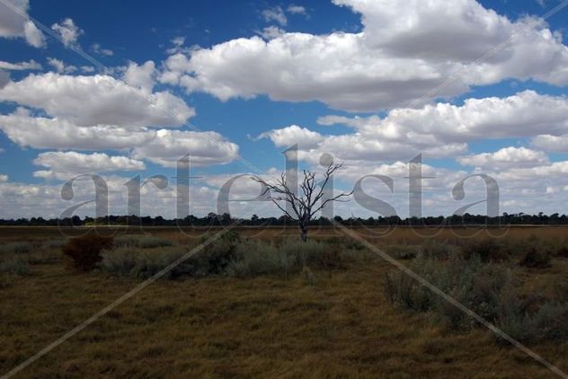 Paisaje