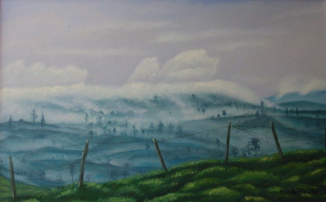 Paramo de berlín