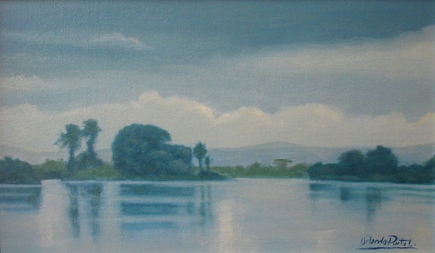 CIENAGA SAN SILVESTRE Oil Canvas Landscaping