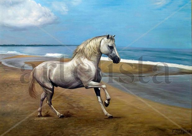 CABALLOS DE P.R.E EN LA PLAYA