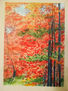 Los colores del Otoño