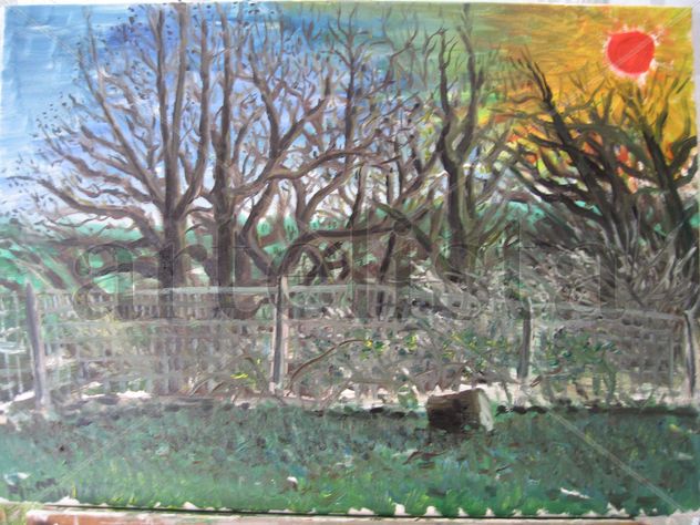 El bosque de L'Ariol bajo el sol