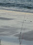 tarde de pesca