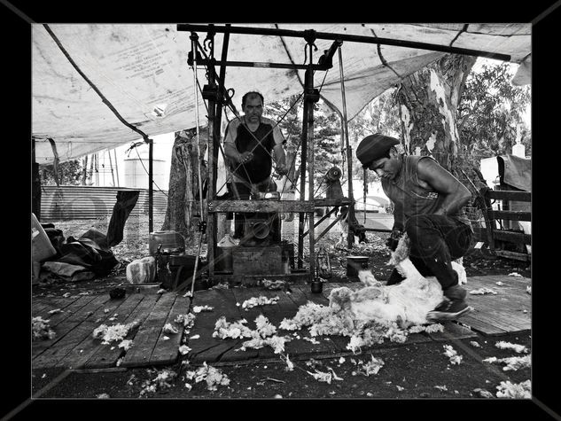 Tiempos de esquila Fotoperiodismo y documental Blanco y Negro (Digital)