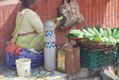 INDIA2008