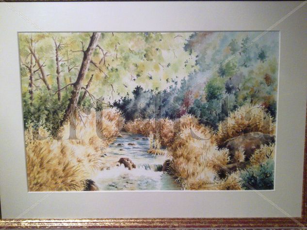 Rio guadalquivir  ( cazorla ) Watercolour Paper Landscaping