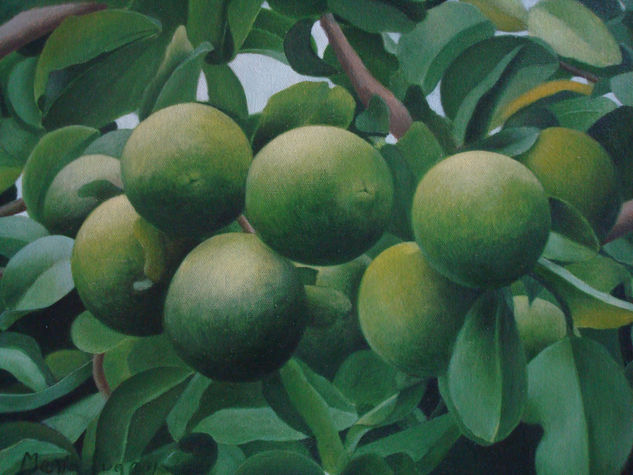 Composición en verdes (Limones) Óleo Lienzo Paisaje