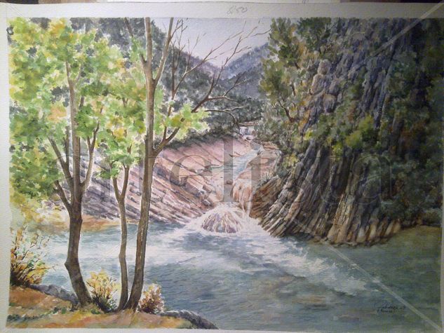 rio borosa ( siera de cazorla ) Watercolour Paper Landscaping