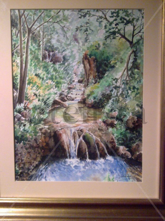Arroyo del rio c erezuelo