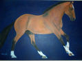 CABALLO