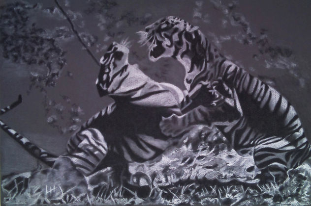 Pelea de tigres