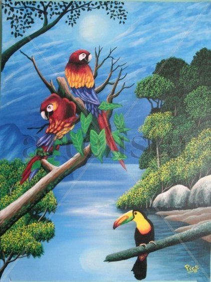Lapas de costa rica.