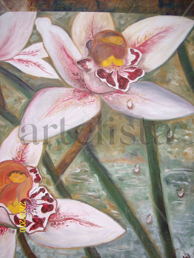 orquidea 2