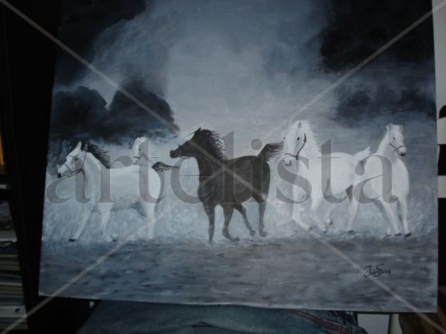 caballos