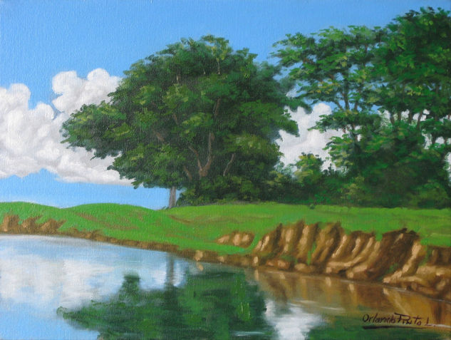 A ORILLAS DEL MAGDALENA Oil Canvas Landscaping