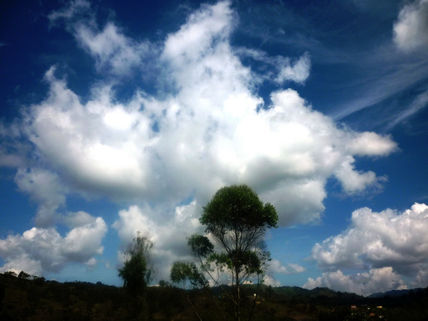 Paisaje