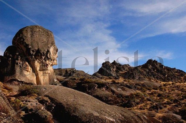 HUMAN MONUMENT Naturaleza Color (Digital)