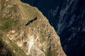CAñon del COlca