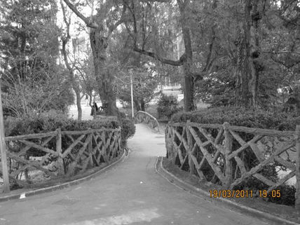 Decisión 8