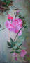 Rosas.1