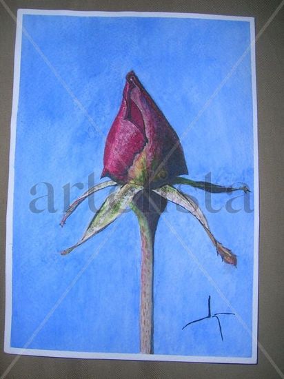 Capullo Watercolour Paper Floral Painting