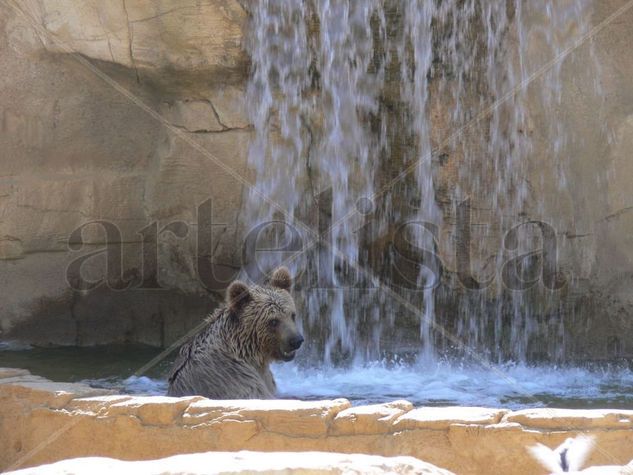 baño del oso 