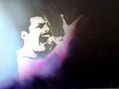 Freddie Mercury (original)