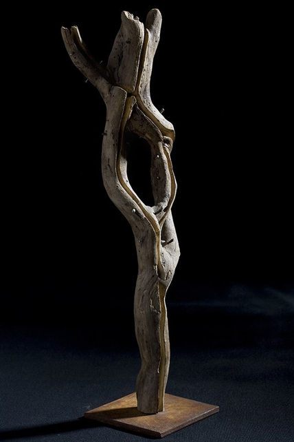 "Árbol reconstruido"