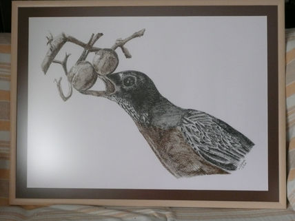Pájaro