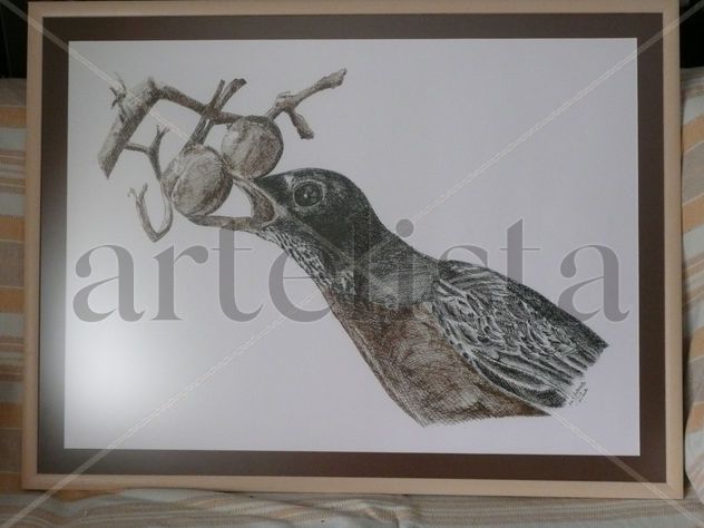 Pájaro