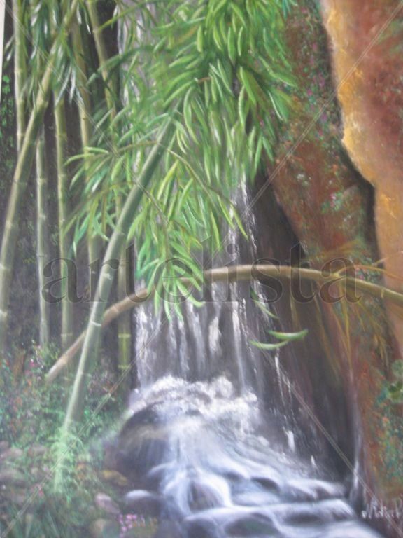 VIDA EN EL CAÑON