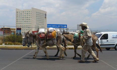 Urbano