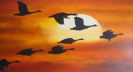 Vuelo al sur