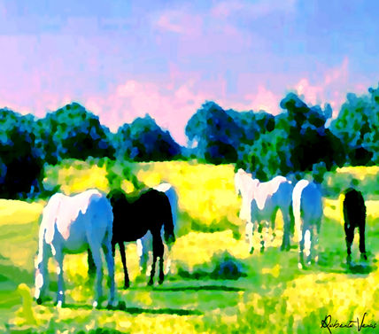 Caballos
