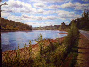 paisaje valdiviano