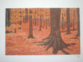 un bosque