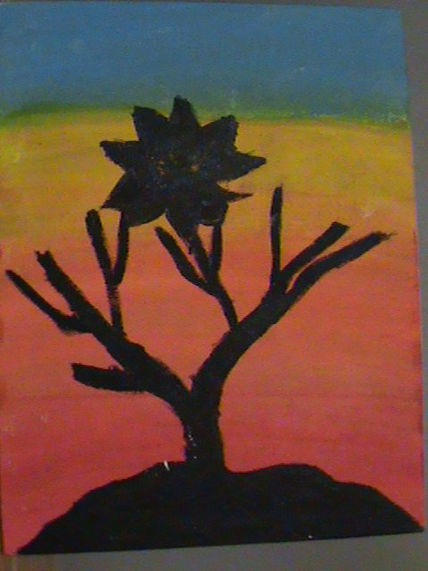 Flor Al Atardecer.