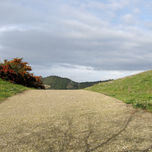 NATURALEZA thumbnail 1