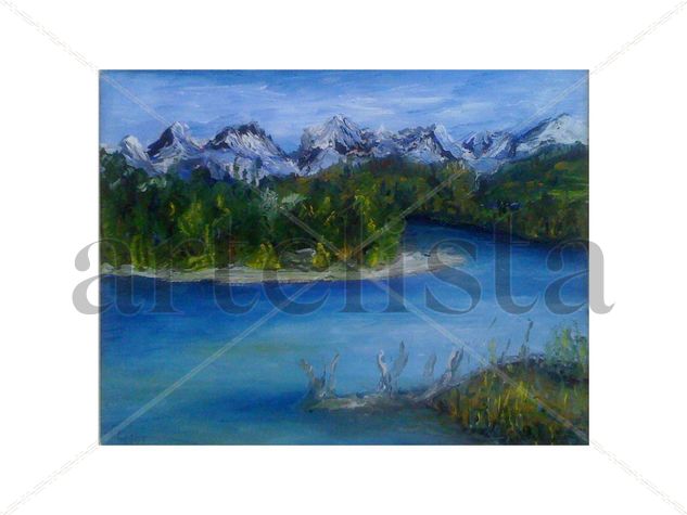 Mediodia Precordillerano Argentino Oil Canvas Landscaping