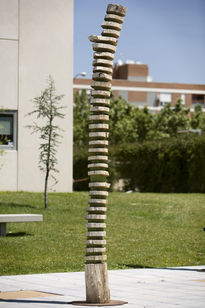 "Columna vertebral...