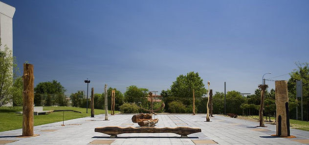 "Pequeño bosque en la ciudad "