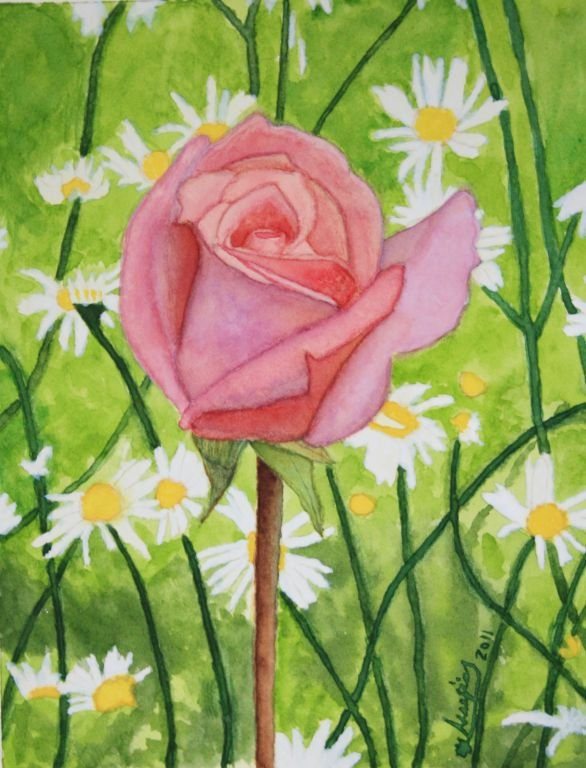 "Rosa entre margaritas"
