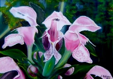 Lamios,Orquideas Oil Others Floral Painting